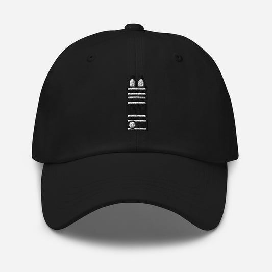 LCMS Hat - Analytical Chem